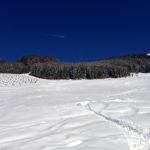 Der Zieleinlauf (gleichzeitig der erste Hang) © Gipfelfieber.com