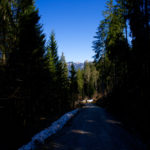 Gemächlicher Abstieg über einen Forstweg © Gipfelfieber.com