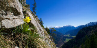 Der Hausberg von Oberammergau - der Kofel © Gipfelfieber.com