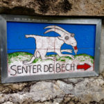 Der verrückten Ziege hinterher © Gipfelfieber.com