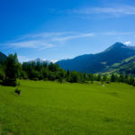 Kurz vorm Erreichen von Zillis © Gipfelfieber.com