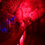 Im Zauberwald © Gipfelfieber.com