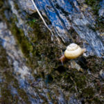 Langsam aber stetig © Gipfelfieber.com