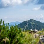 Feldberg © Gipfelfieber