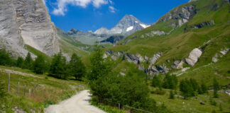 Seine Majestät, der Großglockner © Gipfelfieber.com