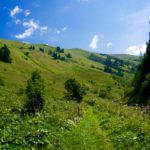 Aufstieg über Almwiesen © Gipfelfieber.com