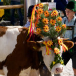 Fachsimpelei © Gipfelfieber.com