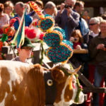 Perfektes Wetter © Gipfelfieber.com