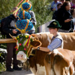 Prächtiger Kopfschmuck © Gipfelfieber.com