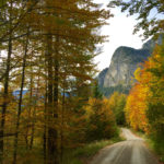 Bunte Bäume säumen den Weg © Gipfelfieber.com