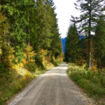 Der Herbst ist da © Gipfelfieber.com