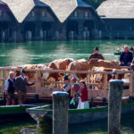 Ankunft in Schönau © Gipfelfieber.com