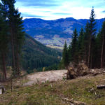 Ende der Forststraße © Gipfelfieber.com