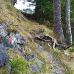 Selten so gut erkennbar © Gipfelfieber.com