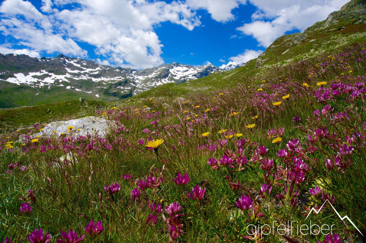 Mai: Val Loga am Splügenpass © Gipfelfieber