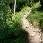 Steig zur Jägerbauernalm © Gipfelfieber