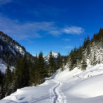 Powder & Sonne © Gipfelfieber