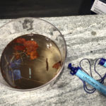 LifeStraw Filter © Gipfelfieber