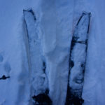 Erstkontakt © Gipfelfieber