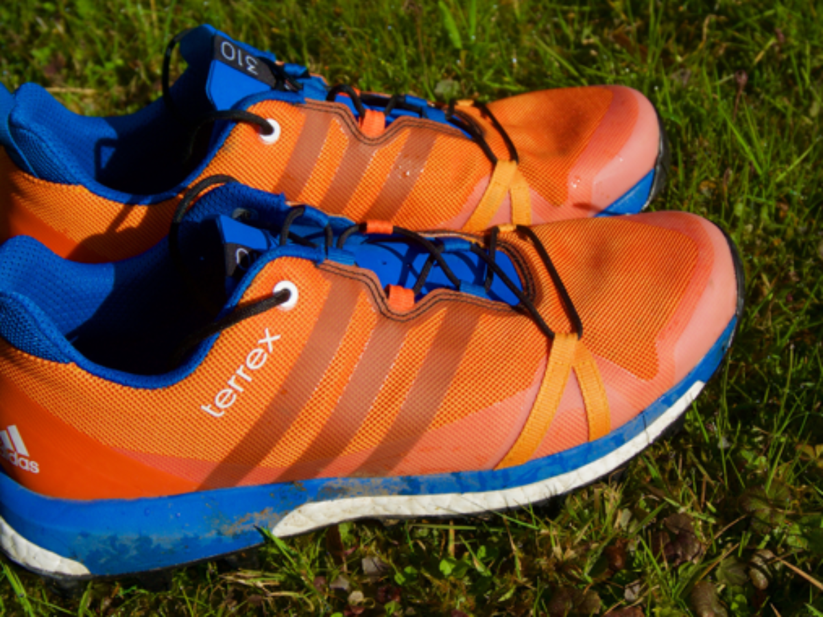 de eerste Kapper straffen Getestet: Adidas Terrex Agravic Trail-Schuhe