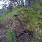 Hat hier gerade jemand P**** gesagt? © Gipfelfieber