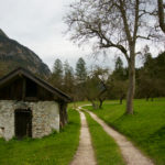 Kurz vorm Haiderhof © Gipfelfieber