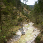 Grün leuchtend © Gipfelfieber