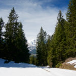 Am Hohen Sattel © Gipfelfieber