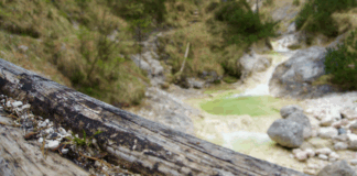 Aschauer Klamm: Grüner die Bäche nie leuchten © Gipfelfieber