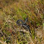 Sonne tanken © Gipfelfieber