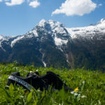 Salomon Speedcross 3 in Schwarz © Gipfelfieber