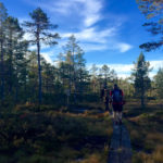 Über Holzplanken © Gipfelfieber