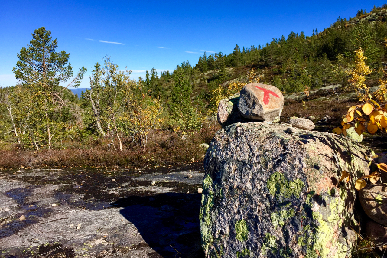 Das rote T findet man auf Wanderungen in Norwegen © Gipfelfieber
