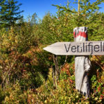 Zum Venelifjell da entlang © Gipfelfieber