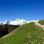 Auffahrt über die Forststraße © Gipfelfieber