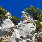 Felszacken © Gipfelfieber