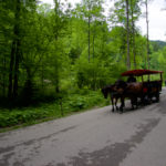 Pferdekutsche © Gipfelfieber