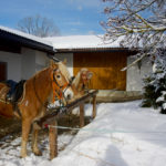 Hauseigener Stall © Gipfelfieber