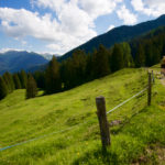 Hinter Arosa geht es durch lichten Wald © Gipfelfieber