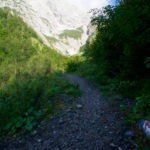 Zunächst im Wald © Gipfelfieber