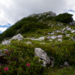 Der Ostgrat der Gehrenspitze © Gipfelfieber