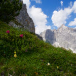 Der Almrausch beginnt © Gipfelfieber