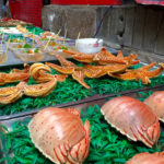 Lecker Seestern © Gipfelfieber