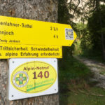 Start des Steigs durch den Bärenlahner © Gipfelfieber