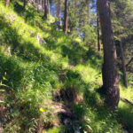 Vergessener Steig © Gipfelfieber