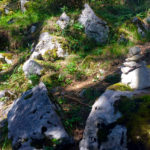 Steinmandl markieren den Weg © Gipfelfieber