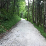 Auffahrt zur Kührointalm © Gipfelfieber