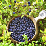 Blaubeeren © Visit Finland