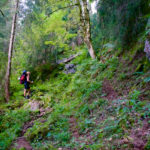 Aufstieg im Wald © Gipfelfieber