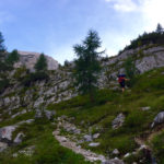 Die letzten Bäume © Gipfelfieber